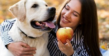 Cachorro pode comer fruta? Descubra aqui!
