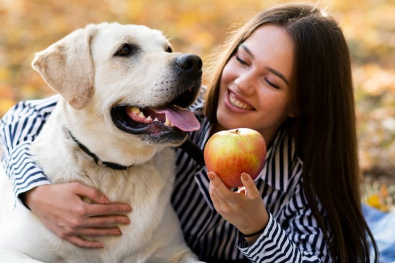 Cachorro pode comer fruta? Descubra aqui!