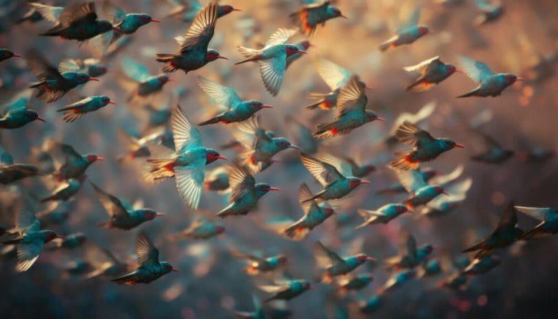 Sonhar com Passarinho